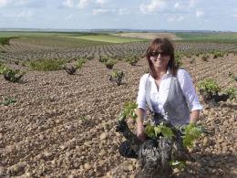 Imagen 3 de la bodega Jos� Pariente