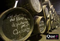 Imagen 10 de Lagar del Monte, vi�edos por fanegas y vino por arrobas