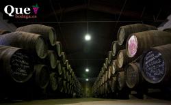 Imagen 5 de Lagar del Monte, vi�edos por fanegas y vino por arrobas