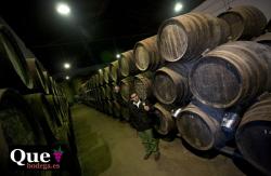 Imagen 7 de Lagar del Monte, vi�edos por fanegas y vino por arrobas