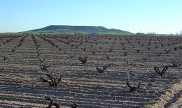 Imagen 1 de la bodega Los Astrales