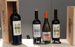 Imagen 5 de la bodega Los Astrales