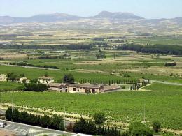 Imagen 1 de la bodega Marqués de Vargas
