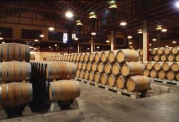 Imagen 2 de la bodega Marqués de Vargas