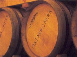Imagen 2 de la bodega Matarromera