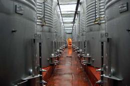 Imagen 2 de la bodega Medina Hermoso