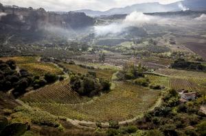 Imagen del reportajeLa niebla protege al Santa Iusta y Santa Rufina