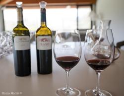 Imagen 6 de Pago de Larrainzar, vino con tradición monacal.