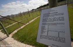 Imagen 8 de Pago de Larrainzar, vino con tradición monacal.