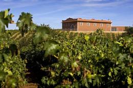 Imagen 1 de la bodega Pago de las Encomiendas
