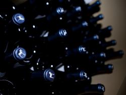 Imagen 3 de Pago de Vallegarcía, paso a paso de la mano de su Viognier