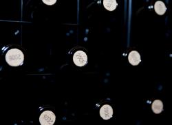 Imagen 8 de Pago de Vallegarcía, paso a paso de la mano de su Viognier