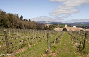 Imagen del reportajePago de Larrainzar, vino con tradici�n monacal.