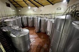 Imagen 2 de la bodega Pascual