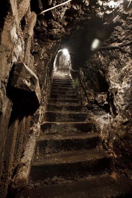 Imagen 4 de la bodega Pascual