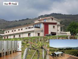 Imagen 1 de la bodega Pazo Pondal