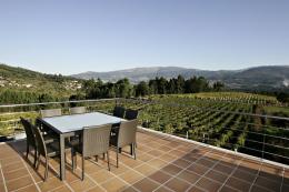 Imagen 2 de la bodega Pazo Pondal