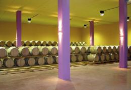 Imagen 2 de la bodega Rejadorada