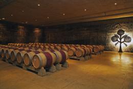 Imagen 1 de la bodega Roda