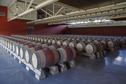 Imagen 4 de la bodega Roda