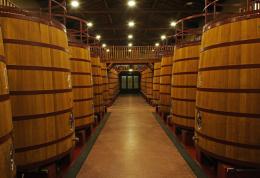 Imagen 5 de la bodega Roda