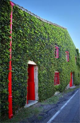 Imagen 2 de la bodega Santiago Ruiz