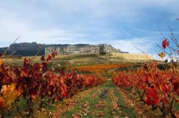 Imagen 2 de la bodega Soto de Torres