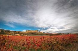 Imagen 3 de la bodega Soto de Torres