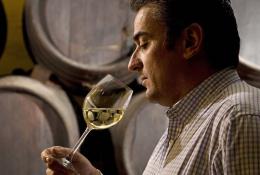 Imagen 2 de la bodega Tierras de Mollina