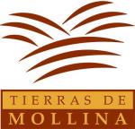 Bodegas Tierras de Mollina
