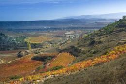 Imagen 1 de la bodega Valdelana