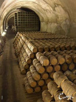 Imagen 4 de la bodega Viña Real