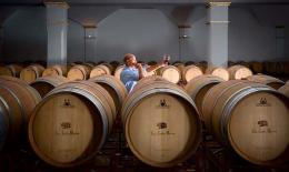 Imagen 1 de la bodega Vi�a Santa Marina