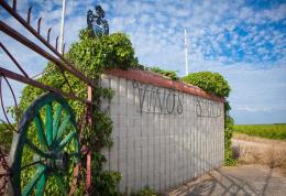 Imagen 1 de la bodega Vinos Sanz