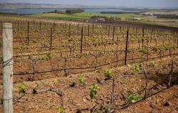 Imagen 4 de Visitamos... Huerta de Albal� en Arcos de la Frontera