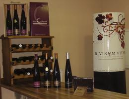 Imagen 2 de la bodega Vitis Natura. Vinos y Vi�edos ecol�gicos