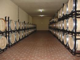 Imagen 3 de la bodega Vitis Natura. Vinos y Vi�edos ecol�gicos